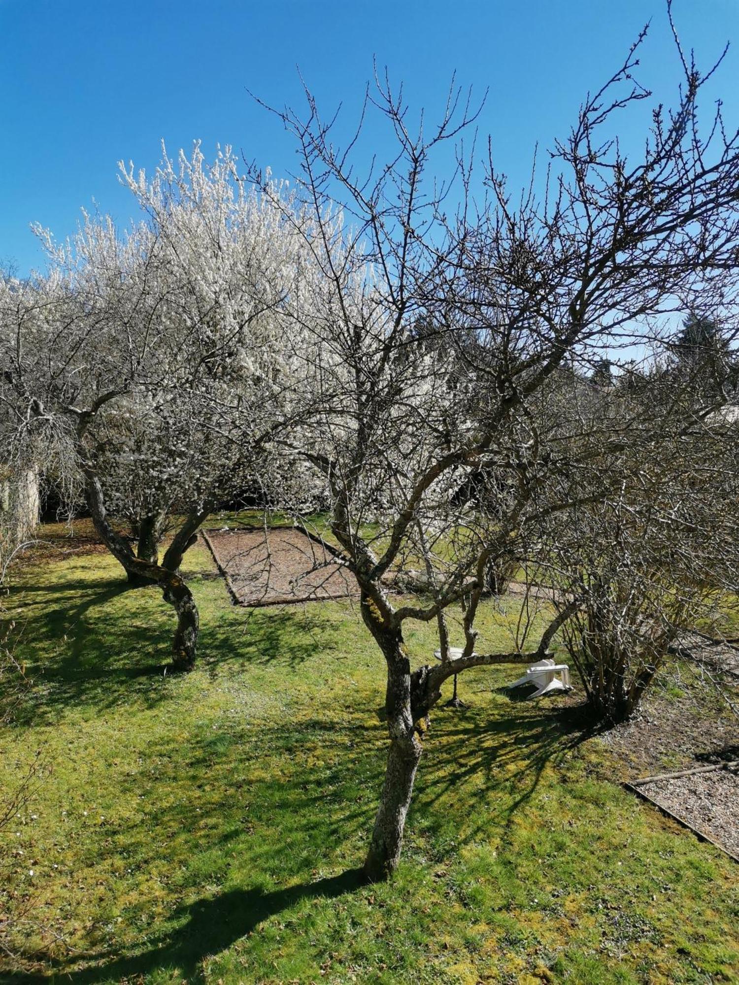 Logis Hotel Le Cerf Briare Dış mekan fotoğraf